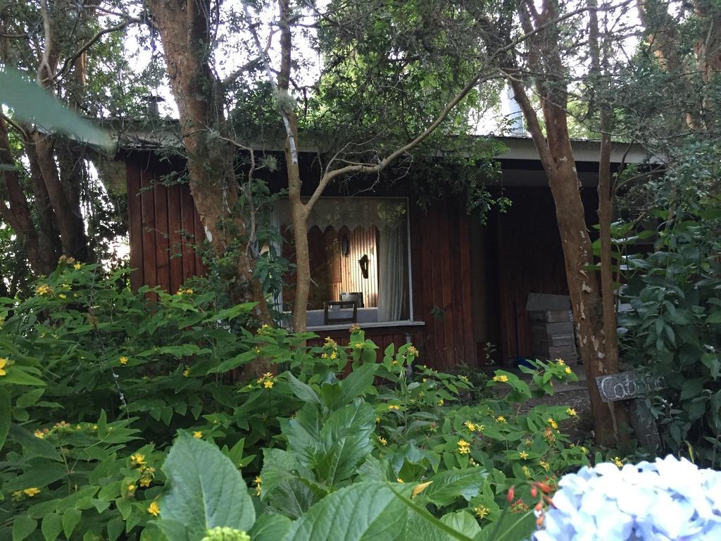 Cabanas El Bosque Patagonico Frutillar Zewnętrze zdjęcie